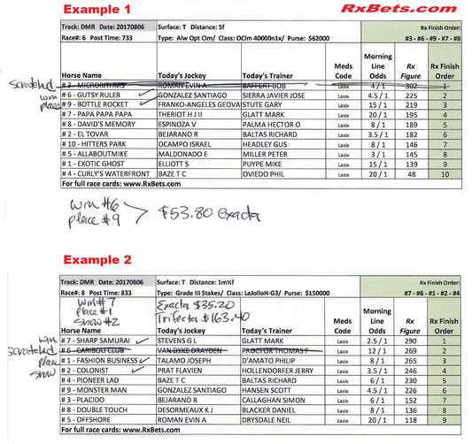 Reminder - Why we handicap and rate every horse, in every race!