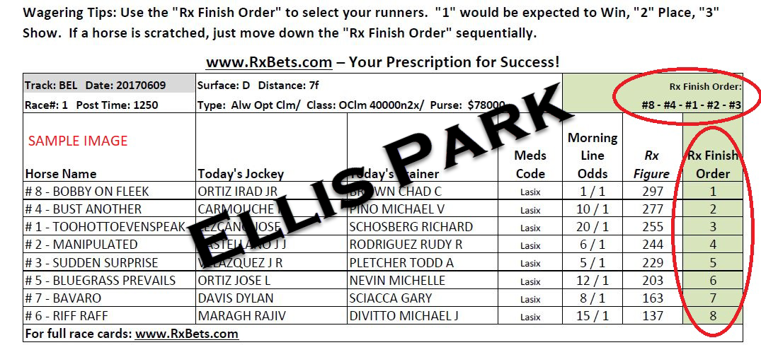 08/04/25 - Ellis Park - Daily Selection Report