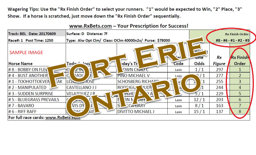 08/04/25 - Fort Erie Ontario - Daily Selection Report