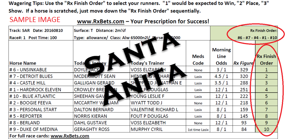 12/31/25 - Santa Anita - Daily Selection Report