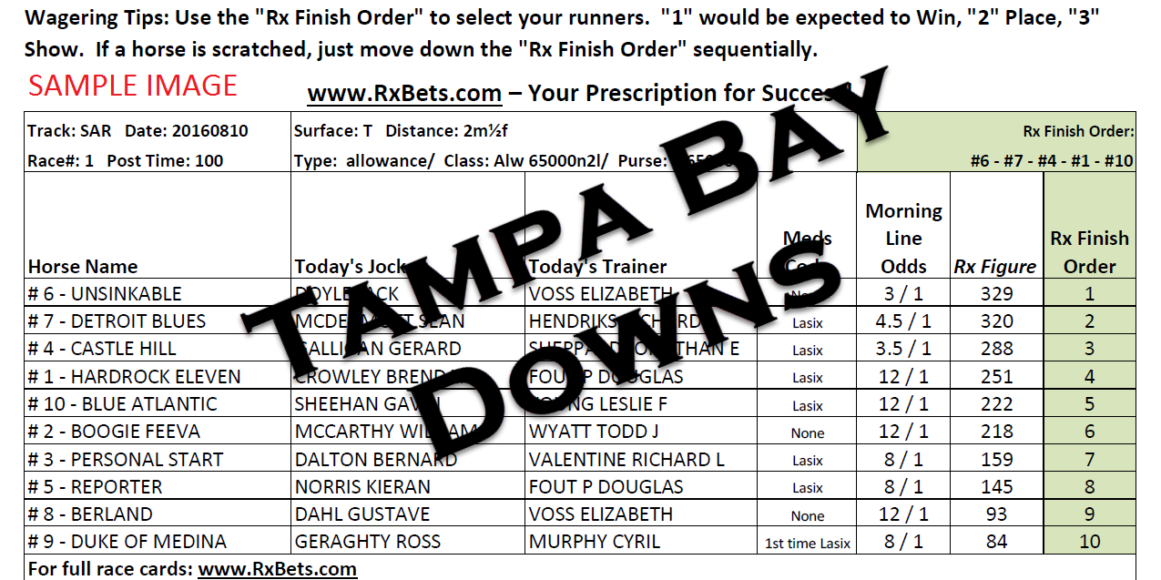 12/10/25 - Tampa Bay Downs - Daily Selection Report