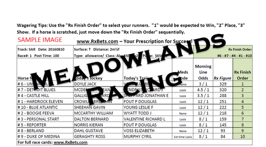 10/04/25 - Meadowlands Racing TB - Daily Selection Report
