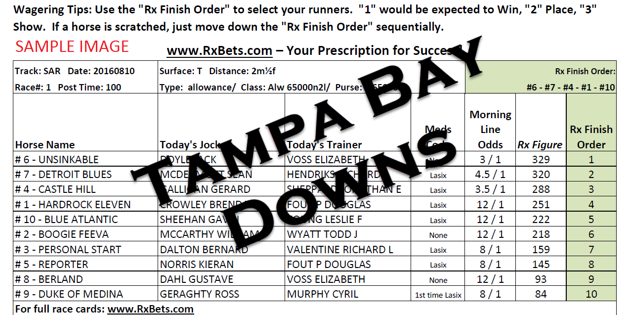 12/22/24 - Tampa Bay Downs - Daily Selection Report